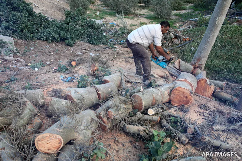 Palestinian men collect the wood to be used for heating in the winter, in Gaza city on November 22, 2021. People in the Gaza Strip are buying firewood for cooking and heating, especially during the power outage in winter...
