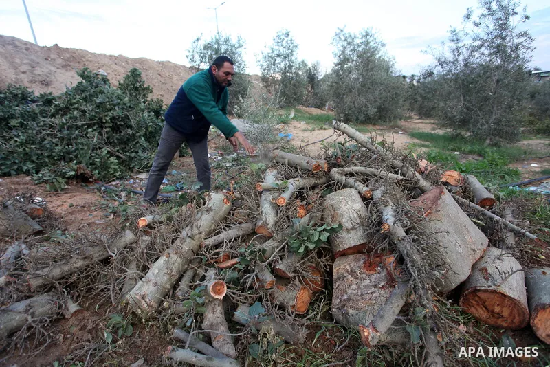 Palestinian men collect the wood to be used for heating in the winter, in Gaza city on November 22, 2021. People in the Gaza Strip are buying firewood for cooking and heating, especially during the power outage in winter...