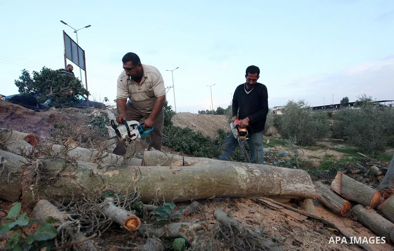 Palestinian men collect the wood to be used for heating in the winter, in Gaza city on November 22, 2021. People in the Gaza Strip are buying firewood for cooking and heating, especially during the power outage in winter...