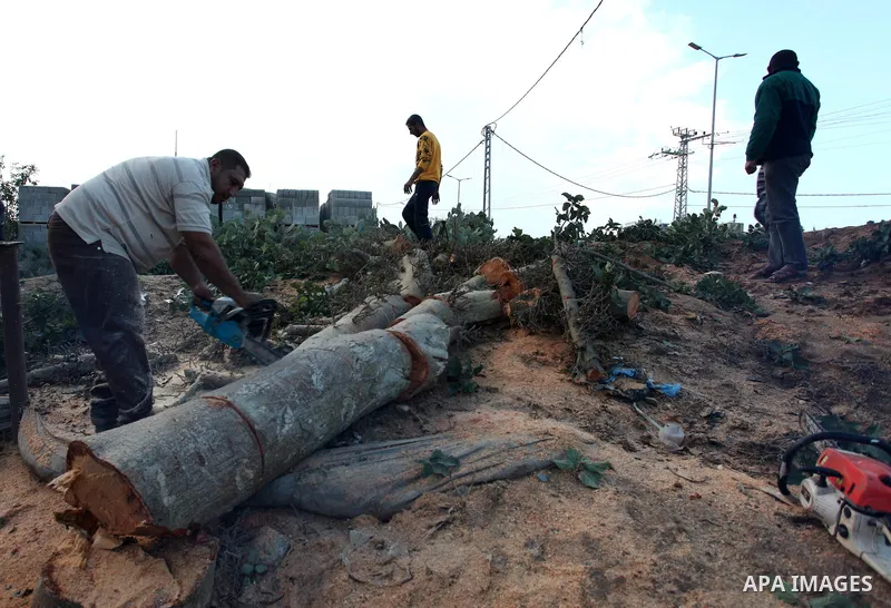 Palestinian men collect the wood to be used for heating in the winter, in Gaza city on November 22, 2021. People in the Gaza Strip are buying firewood for cooking and heating, especially during the power outage in winter...
