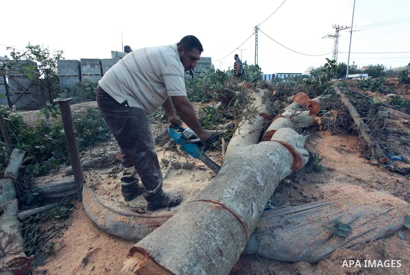 Palestinian men collect the wood to be used for heating in the winter, in Gaza city on November 22, 2021. People in the Gaza Strip are buying firewood for cooking and heating, especially during the power outage in winter...