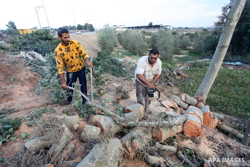 Palestinian men collect the wood to be used for heating in the winter, in Gaza city on November 22, 2021. People in the Gaza Strip are buying firewood for cooking and heating, especially during the power outage in winter...