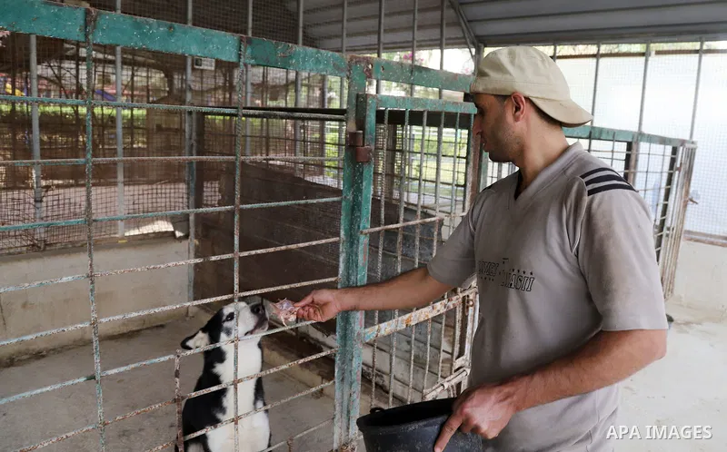 Palestinians visit a zoo in Gaza city, on November 23, 2021. Gaza’s zoos complain of a fall in visitor numbers, which harms their ability to feed and look after the animals properly. Even before the coronavirus pandemic,...