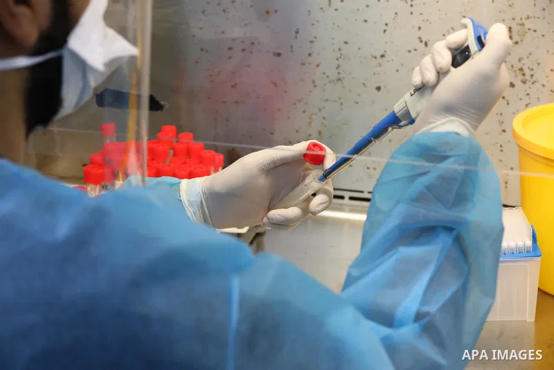 Palestinian Laboratory Medicine Specialist, tests vials of samples for coronavirus at Medical Laboratory, in Gaza city on November 28, 2021. In the past week a heavily mutated Covid variant has been identified, rapidly l...