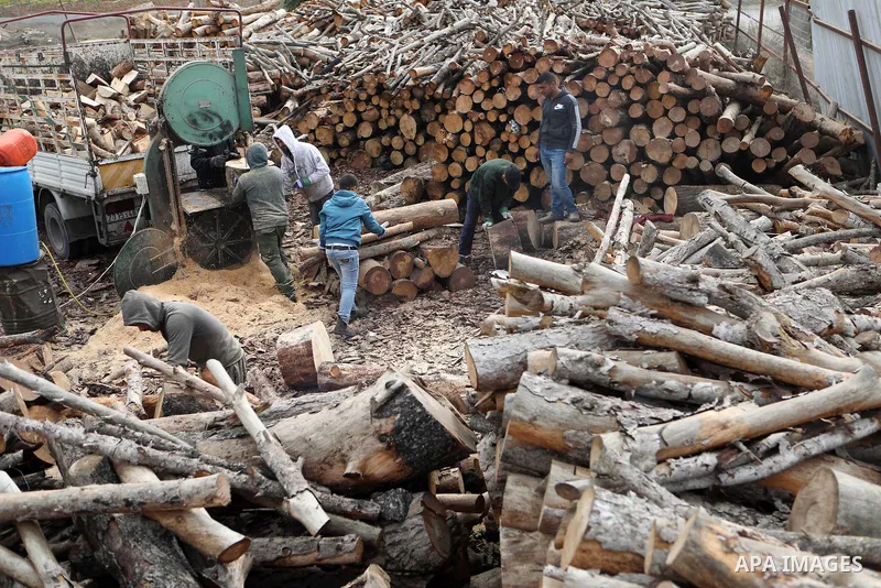Palestinian lumberjacks unload logs to make firewood for sale during the winter season, at a worksite in Halhul village, north the West Bank city of Hebron on December 01, 2021. People are buying firewood for cooking and...
