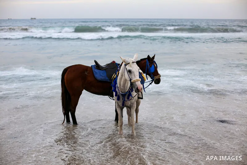 Palestinians enjoy their time on the beach, in Gaza City, On December 6, 2021. The beach is one of the few open public spaces in this densely populated city. Photo by Atia Darwish