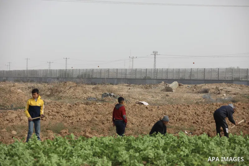 Palestinian farmers dig with hoes in a field near the portion of the high-tech barrier near the border between the Palestinian Gaza Strip and Israel, east of Gaza City on December 8, 2021. Photo by Ashraf Amra