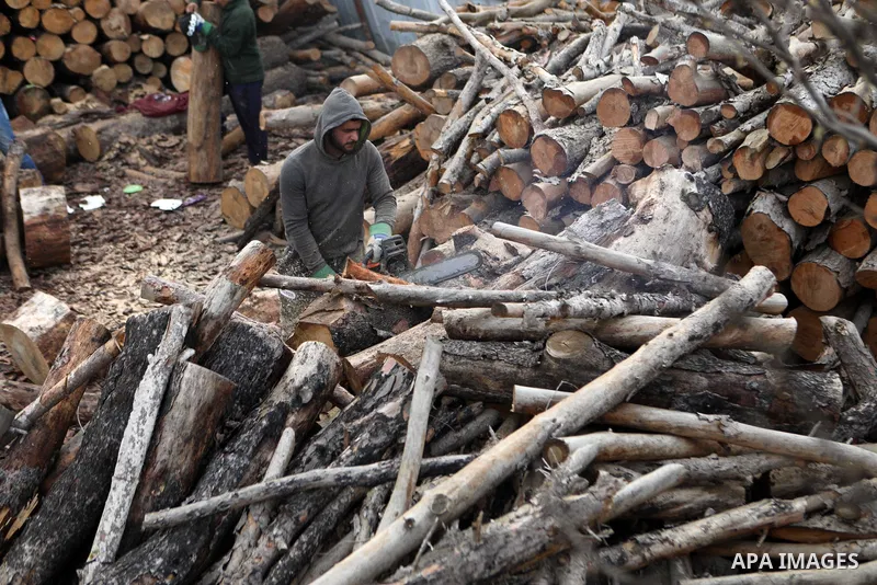Palestinian lumberjacks unload logs to make firewood for sale during the winter season, at a worksite in Halhul village, north the West Bank city of Hebron on December 01, 2021. People are buying firewood for cooking and...
