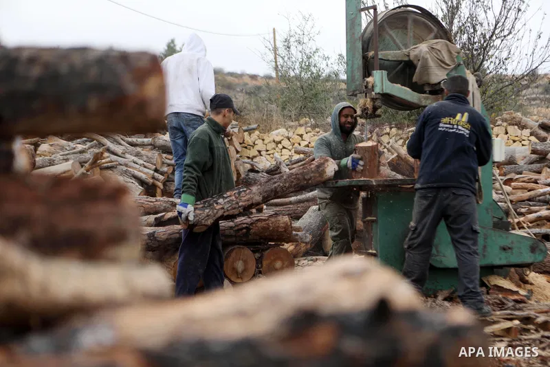 Palestinian lumberjacks unload logs to make firewood for sale during the winter season, at a worksite in Halhul village, north the West Bank city of Hebron on December 01, 2021. People are buying firewood for cooking and...