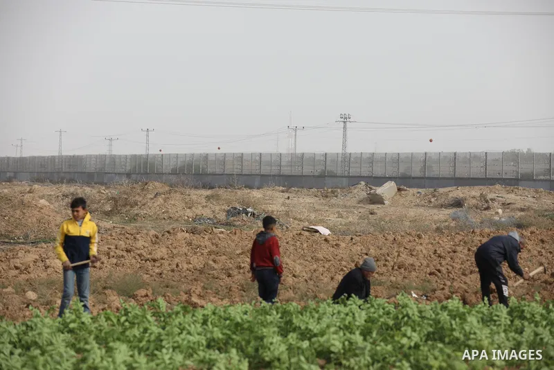 Palestinian farmers dig with hoes in a field near the portion of the high-tech barrier near the border between the Palestinian Gaza Strip and Israel, east of Gaza City on December 8, 2021. Photo by Ashraf Amra