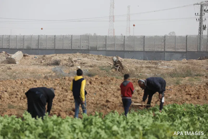 Palestinian farmers dig with hoes in a field near the portion of the high-tech barrier near the border between the Palestinian Gaza Strip and Israel, east of Gaza City on December 8, 2021. Photo by Ashraf Amra