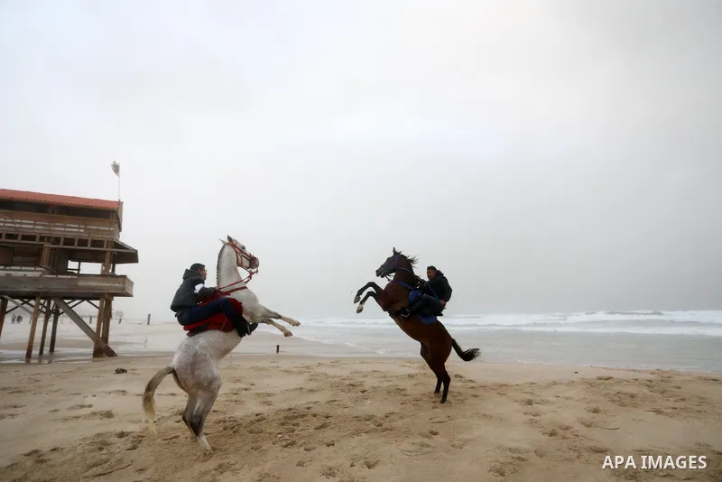 A Palestinian man reares his horse as he ride during stormy weather along a beach by the Mediterranean Sea in Gaza City on December 8, 2021. Photo by Ashraf Amra