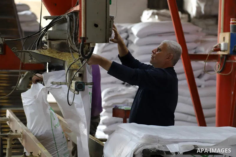 Palestinians work in a feed factory, in Gaza city, on December 14, 2021. The agricultural sector in the Gaza Strip is facing many difficult economic challenges due to the high global grain prices. Global wheat production...