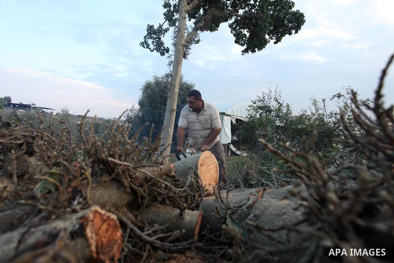 Palestinian men collect the wood to be used for heating in the winter, in Gaza city on November 22, 2021. People in the Gaza Strip are buying firewood for cooking and heating, especially during the power outage in winter...