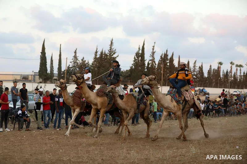 Palestinians ride horses and camels during a local race, in Nuseirat, in the center of Gaza strip on October 8, 2021. Breeders of Arabian horses in Gaza have been struggling to secure the necessary medicines and vaccinat...