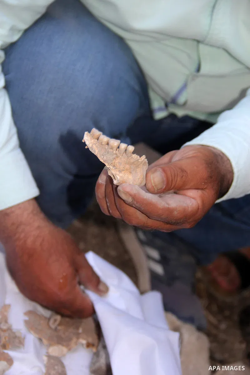 Palestinians collect the remains of several graves that were demolished by the Jerusalem municipality and the nature and parks authority at al-Yusufiye cemetery near the Lion's Gate entrance to the Aqsa mosque compound i...
