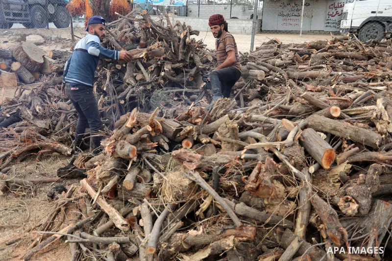 Palestinian lumberjacks cut and prepares firewood for sale and production of charcoal at a workshop, in Khan younis in the southern of Gaza strip, in October 17, 2021. The winter and holiday periods when coal is in high...