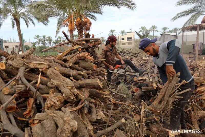 Palestinian lumberjacks cut and prepares firewood for sale and production of charcoal at a workshop, in Khan younis in the southern of Gaza strip, in October 17, 2021. The winter and holiday periods when coal is in high...