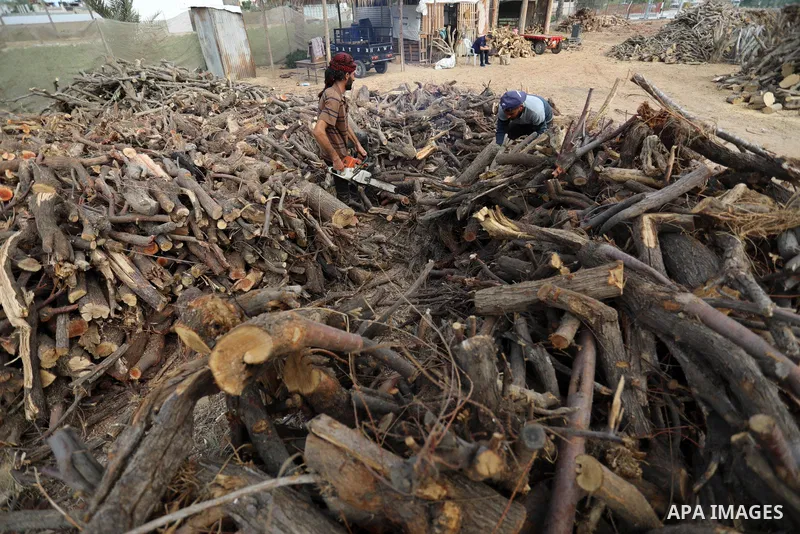 Palestinian lumberjacks cut and prepares firewood for sale and production of charcoal at a workshop, in Khan younis in the southern of Gaza strip, in October 17, 2021. The winter and holiday periods when coal is in high...