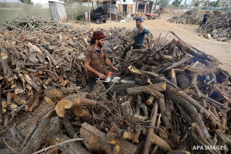 Palestinian lumberjacks cut and prepares firewood for sale and production of charcoal at a workshop, in Khan younis in the southern of Gaza strip, in October 17, 2021. The winter and holiday periods when coal is in high...