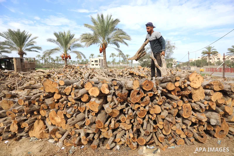 Palestinian lumberjacks cut and prepares firewood for sale and production of charcoal at a workshop, in Khan younis in the southern of Gaza strip, in October 17, 2021. The winter and holiday periods when coal is in high...