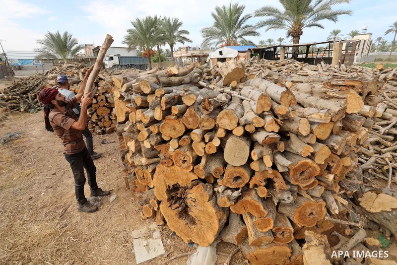 Palestinian lumberjacks cut and prepares firewood for sale and production of charcoal at a workshop, in Khan younis in the southern of Gaza strip, in October 17, 2021. The winter and holiday periods when coal is in high...