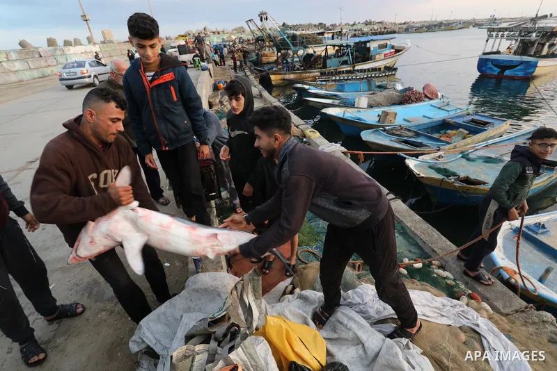 Palestinian fishermen sell fish at Gaza City's main port on October 21, 2021. Fishing is a major source of revenue for the impoverished Palestinian enclave. Israel, which maintains a blockade on Gaza strip, has over the...