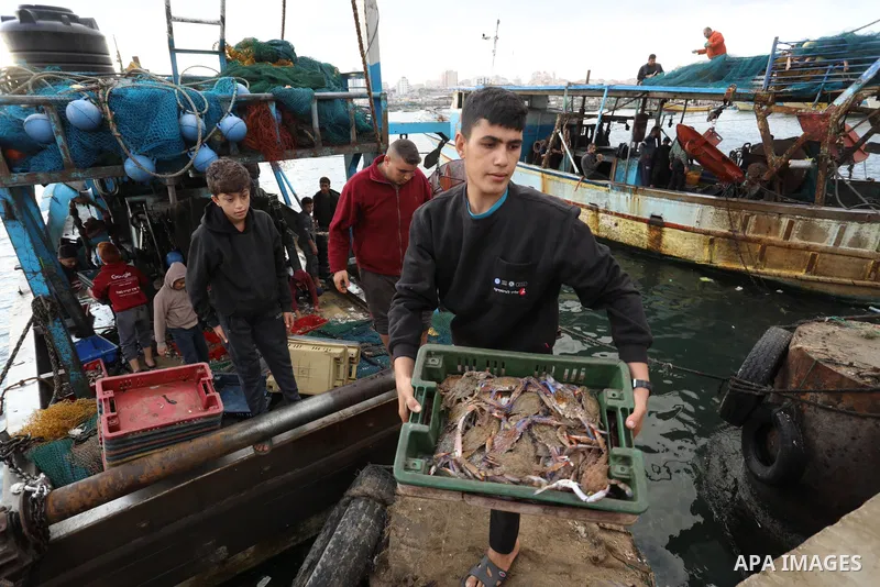 Palestinian fishermen sell fish at Gaza City's main port on October 21, 2021. Fishing is a major source of revenue for the impoverished Palestinian enclave. Israel, which maintains a blockade on Gaza strip, has over the...