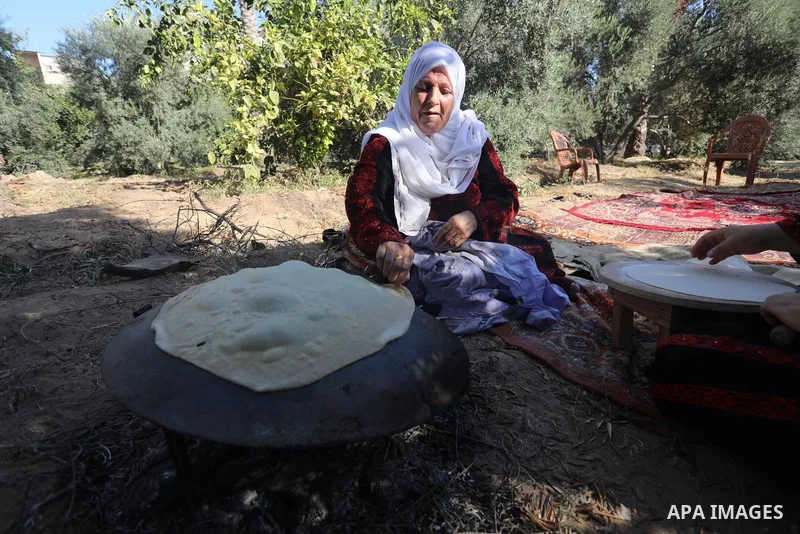 Palestinian women wear traditional dresses, as they pick olives during the harvest season, in Nuseirat camp in the central Gaza Strip, on 24 October 2021. Olive trees perform a crucial historical and cultural role in the...