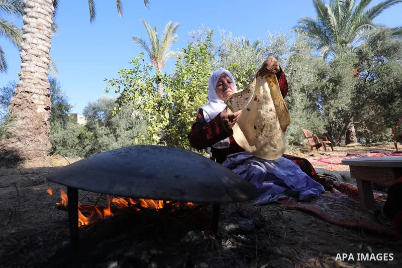 Palestinian women wear traditional dresses, as they pick olives during the harvest season, in Nuseirat camp in the central Gaza Strip, on 24 October 2021. Olive trees perform a crucial historical and cultural role in the...