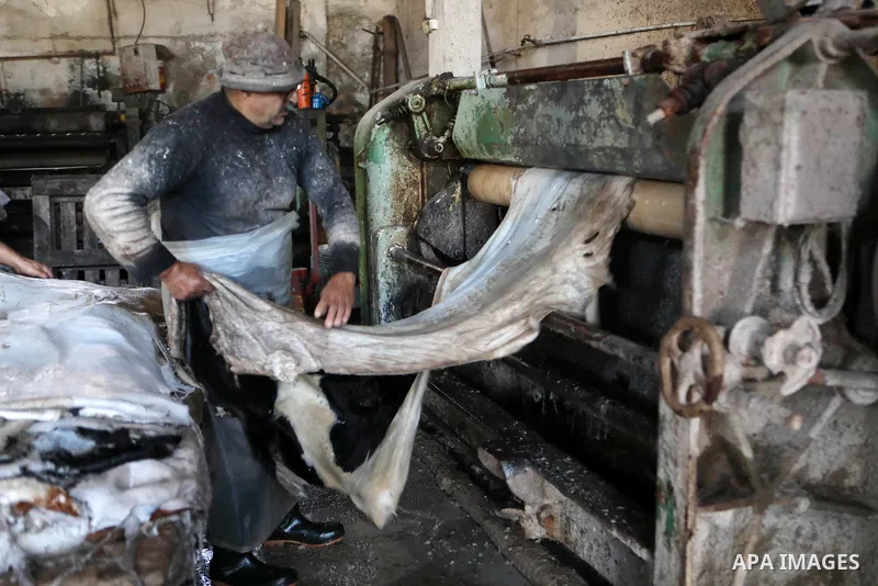 Palestinian workers paint leather and putting pieces out to dry as part of the finish process of leather tanning in a small factory to sell it to manufacture of shoes, in the West Bank city of Hebron on October 27, 2021....