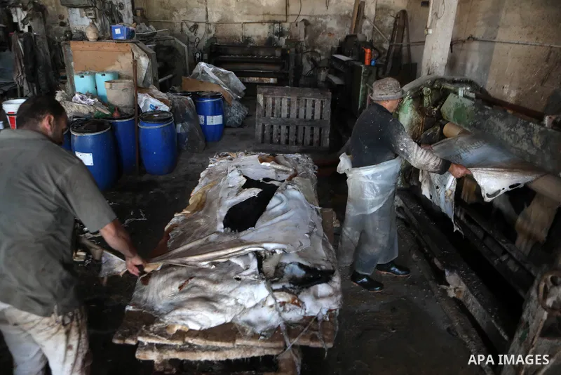 Palestinian workers paint leather and putting pieces out to dry as part of the finish process of leather tanning in a small factory to sell it to manufacture of shoes, in the West Bank city of Hebron on October 27, 2021....