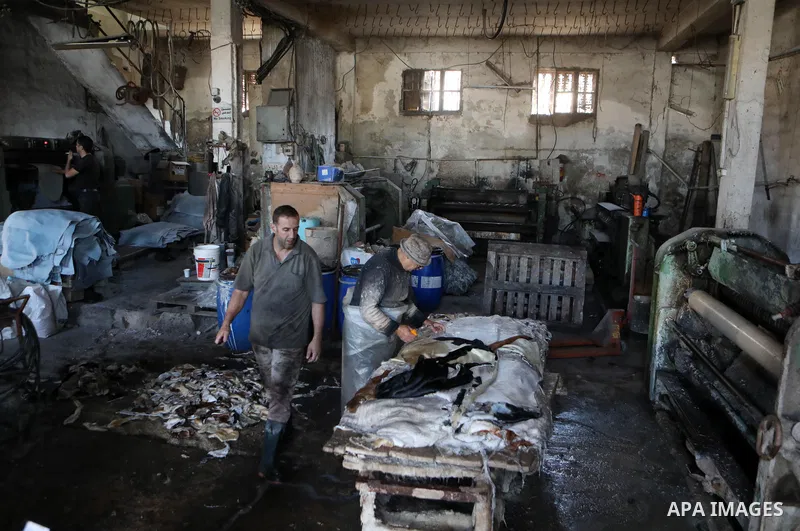 Palestinian workers paint leather and putting pieces out to dry as part of the finish process of leather tanning in a small factory to sell it to manufacture of shoes, in the West Bank city of Hebron on October 27, 2021....