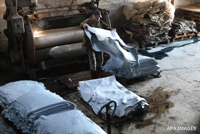 Palestinian workers paint leather and putting pieces out to dry as part of the finish process of leather tanning in a small factory to sell it to manufacture of shoes, in the West Bank city of Hebron on October 27, 2021....