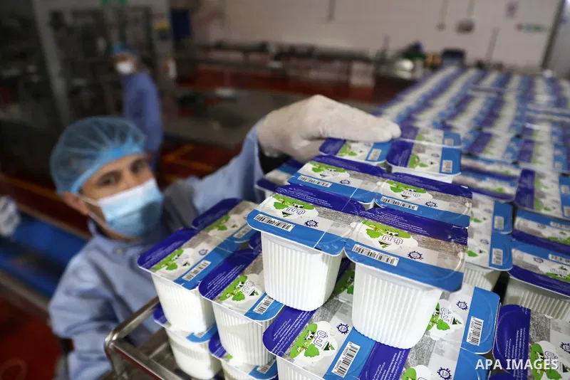 Palestinian employees work at Hanover factory for dairy, in Gaza city, on October 28, 2021. Photo by Majdy Fathi
