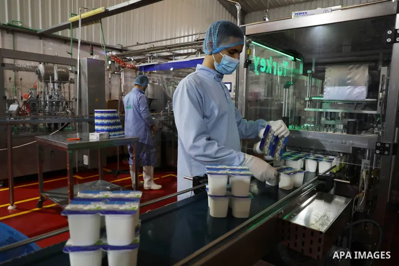 Palestinian employees work at Hanover factory for dairy, in Gaza city, on October 28, 2021. Photo by Majdy Fathi