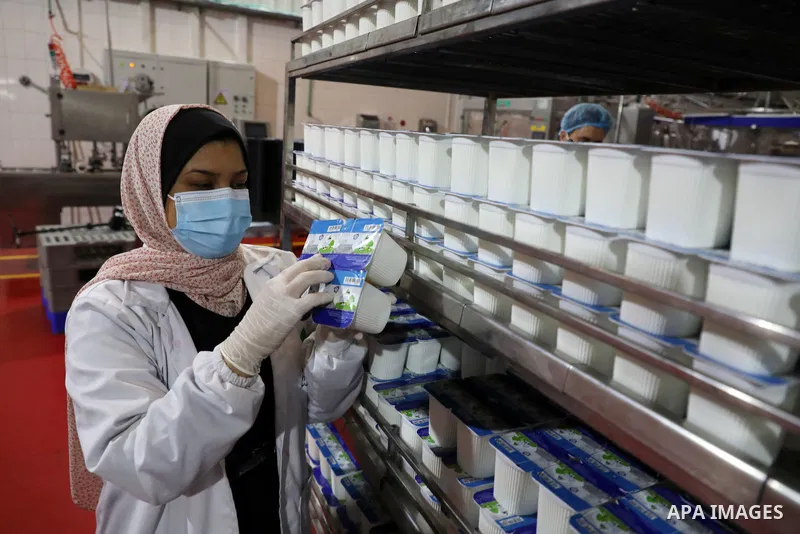 Palestinian employees work at Hanover factory for dairy, in Gaza city, on October 28, 2021. Photo by Majdy Fathi