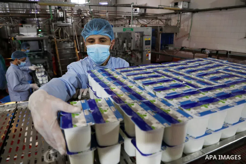 Palestinian employees work at Hanover factory for dairy, in Gaza city, on October 28, 2021. Photo by Majdy Fathi