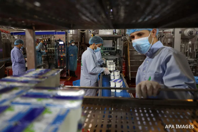 Palestinian employees work at Hanover factory for dairy, in Gaza city, on October 28, 2021. Photo by Majdy Fathi