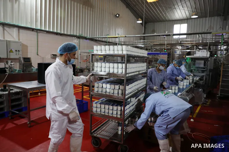 Palestinian employees work at Hanover factory for dairy, in Gaza city, on October 28, 2021. Photo by Majdy Fathi