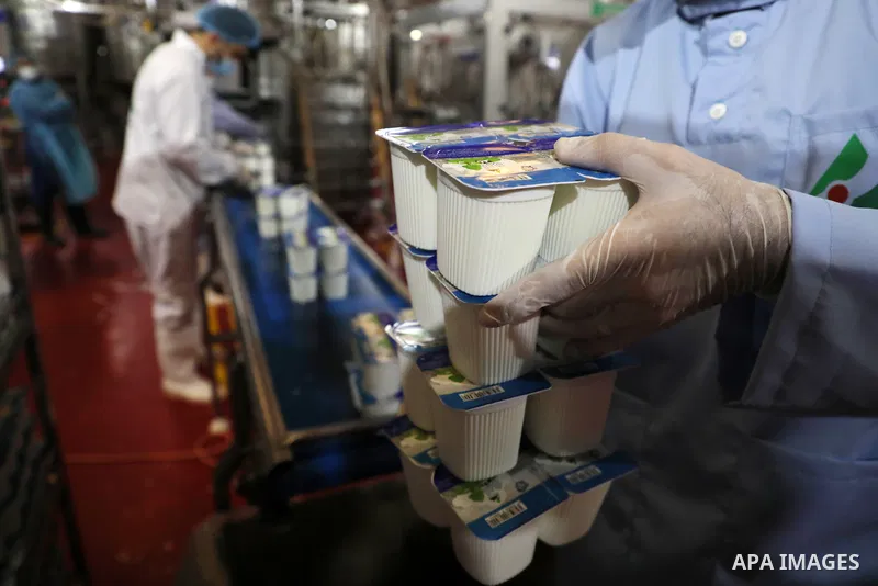 Palestinian employees work at Hanover factory for dairy, in Gaza city, on October 28, 2021. Photo by Majdy Fathi