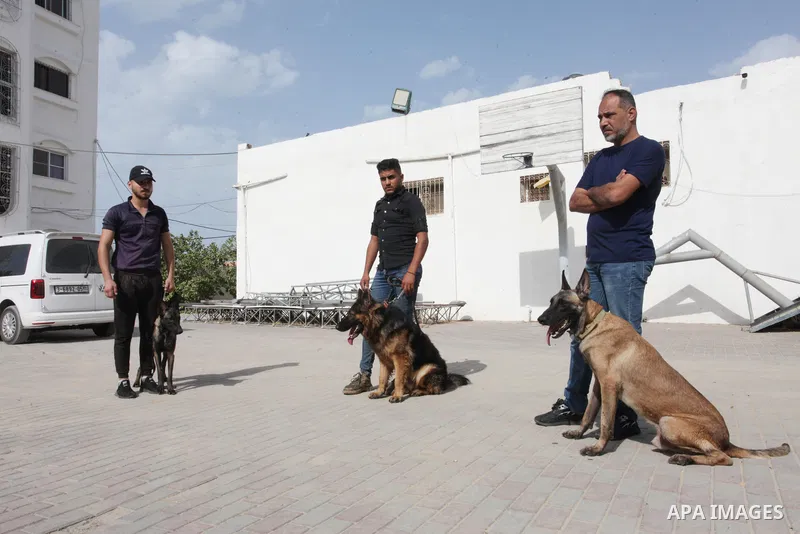 Palestinian man Wael Mohnaa, 35, reacts during dogs training, in Gaza city, on October 31, 2021. Palestinians have recently started training expensive dogs before selling them to security companies, guards and dog lovers...