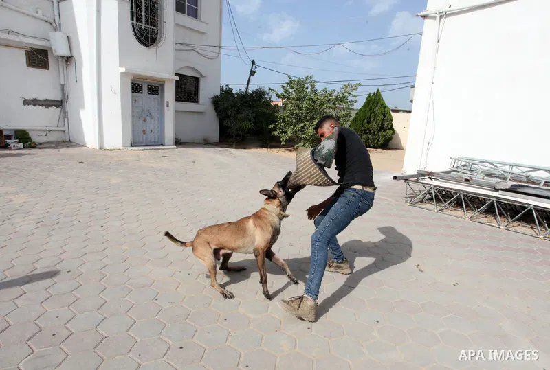 Palestinian man Wael Mohnaa, 35, reacts during dogs training, in Gaza city, on October 31, 2021. Palestinians have recently started training expensive dogs before selling them to security companies, guards and dog lovers...