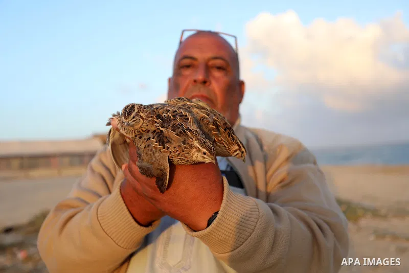 A Palestinian man takes out a quail from a net after catching it on a beach in Deir Al-Balah, in the central Gaza Strip on September 23, 2021. Palestinians erected hundreds of meters of nets along the coastline in the Ga...