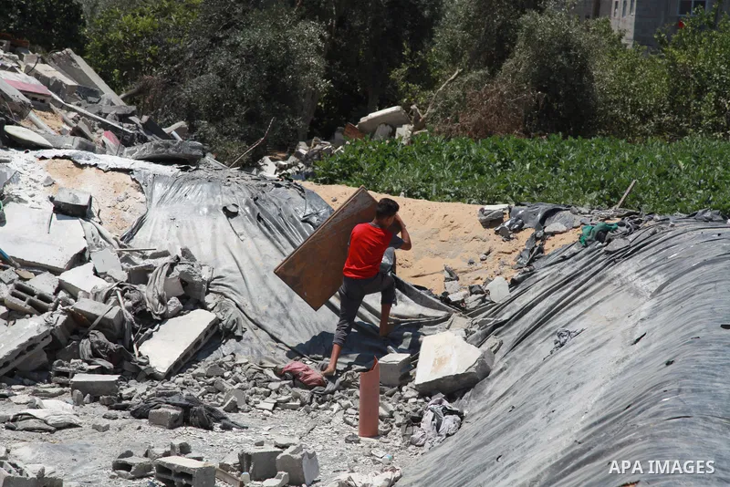 A Palestinian boy inspects the fish's farm in Beit Lahia in the northern of Gaza Strip on June 22, 2021. Fish farms in Gaza strip were subjected to material loss, cause of The latest Israeli military escalation. Fish far...