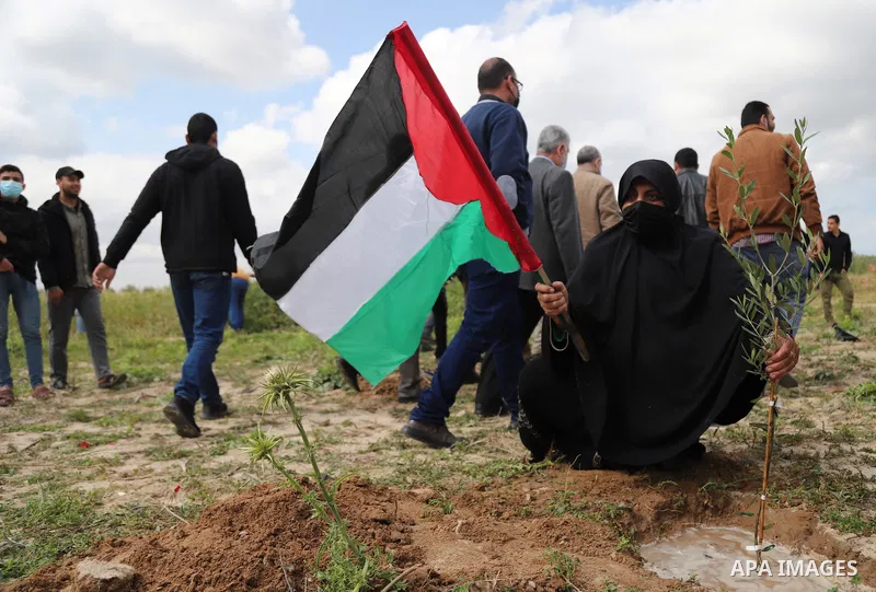 Palestinians plant an olive tree near the border with Israel, east of Gaza City on March 30, 2021. Palestinians every year mark Land Day on March 30 commemorating the six Palestinians shot and killed by Israeli police an...