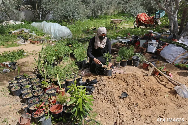 Palestinian woman Hanin Abu Salah, 26, works in a plant nursery, on the International Women's Day, in Khan Yunis in the southern Gaza Strip on March 9, 2021. In light of difficult economic and living conditions for Gazan...