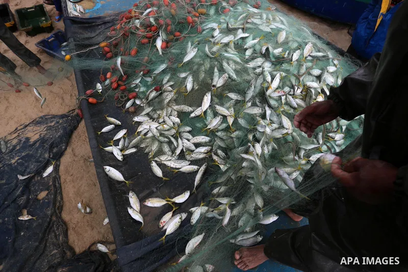 Palestinian fishermen collect caught fish from their nets on the beach in Deir al-Balah, in the central of Gaza Strip, on February 19, 2021. The bad weather and snow that hit Palestine yesterday led to the disruption of...