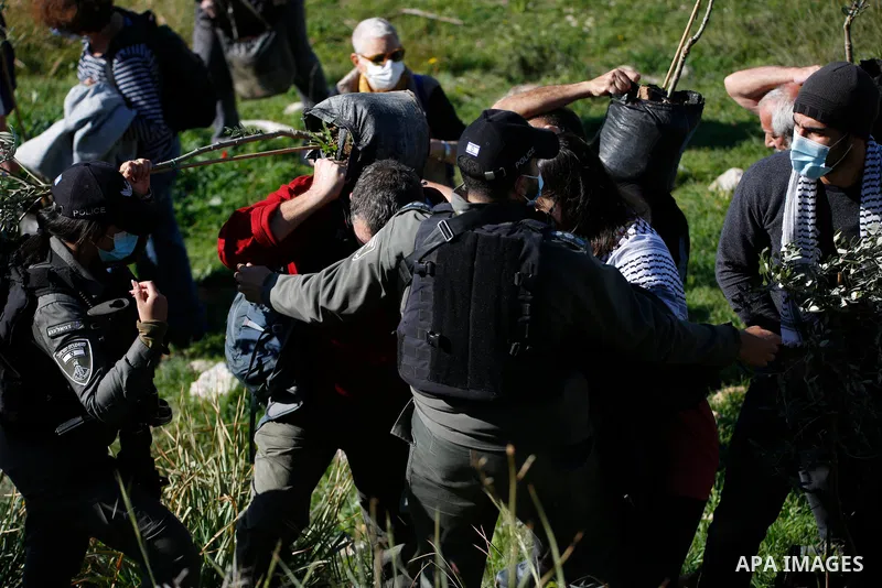Israeli security forces assault foreign peace activists and Israelis while they planted olive trees in the lands of Burin village, south of Nablus in the West Bank on February 12, 2021. Israel has occupied the West Bank...