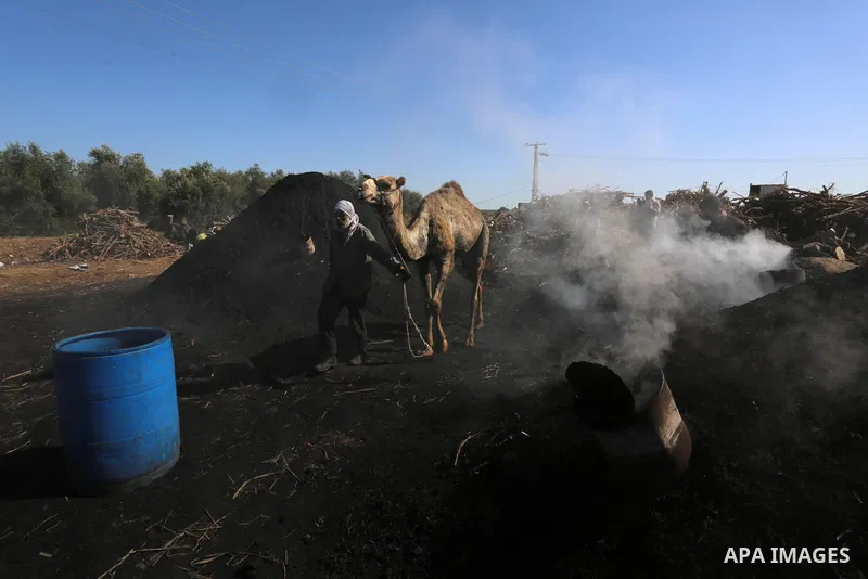 Palestinian charcoal worker Taha Al-Hattab, 60, works at his production facility near the border, east of Gaza City, on February 3, 2021. Al-Hattab charcoal-making facility is the largest producer in the Gaza Strip. Eigh...